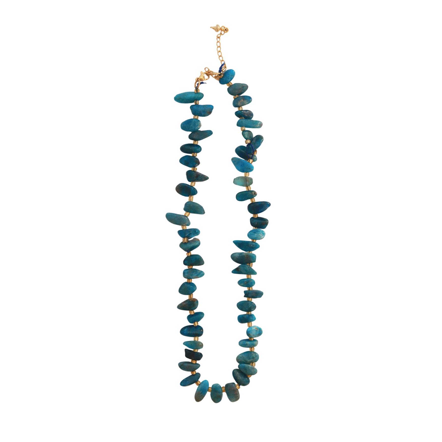 Collier Lithia